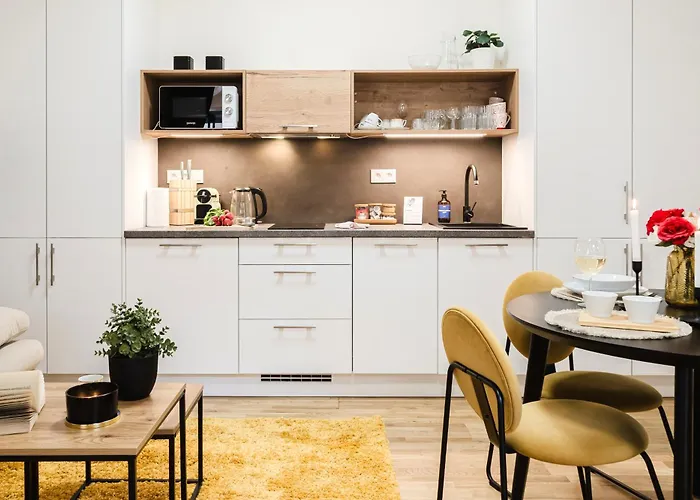 Days - One-bedroom With Netflix And High Speed Wifi In Karlin Apartment