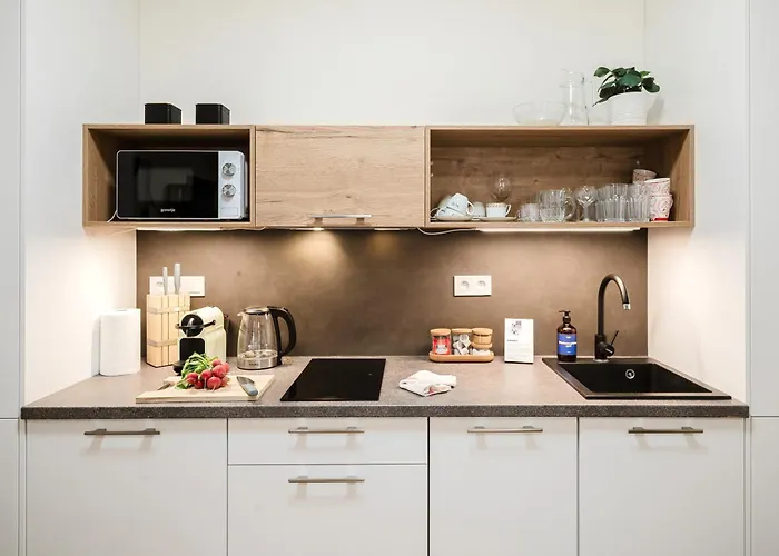 Days - One-bedroom With Netflix And High Speed Wifi In Karlin Apartment Prag